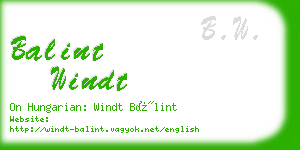 balint windt business card